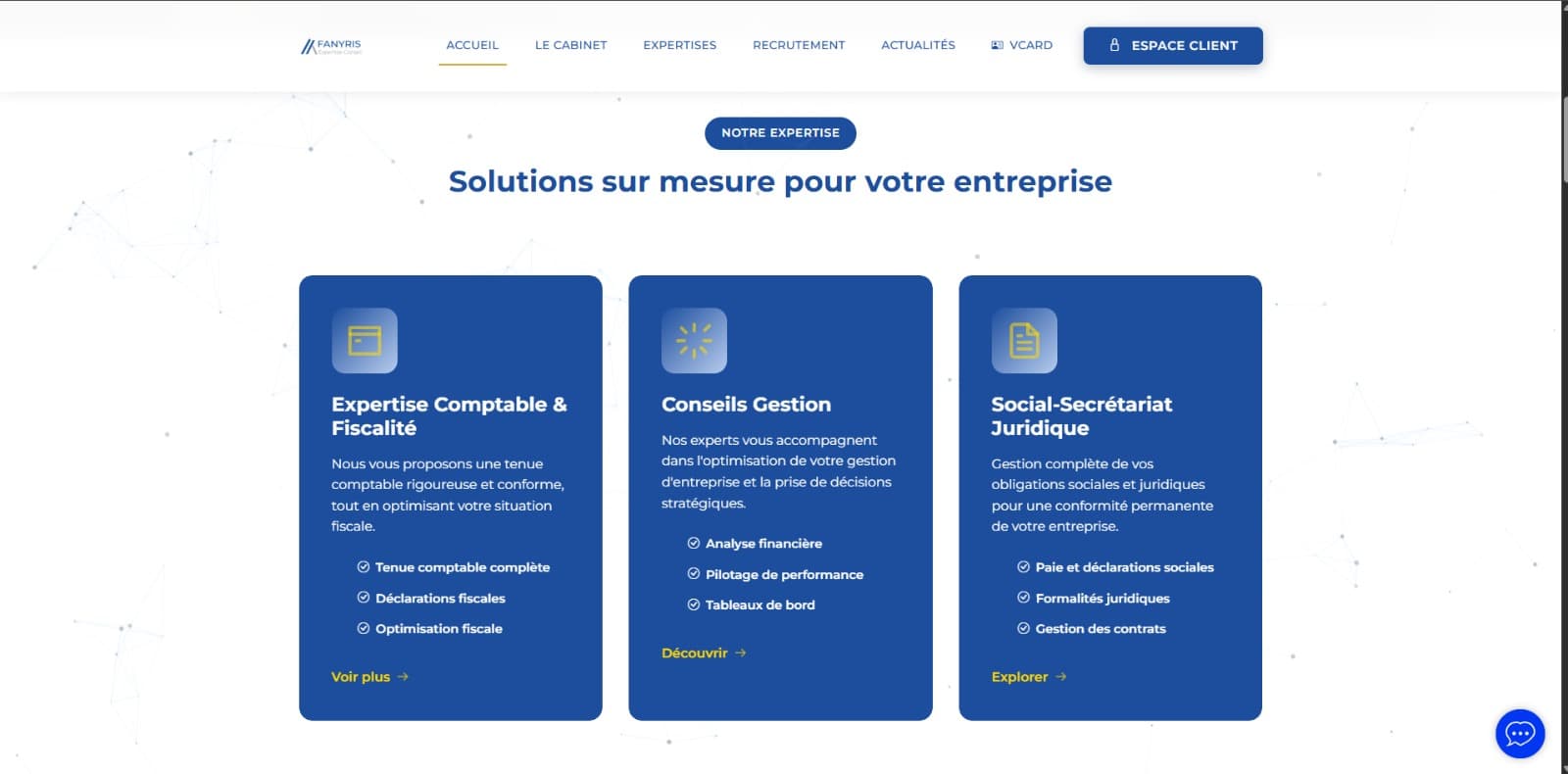 FANYRIS Expertise-Conseil — visual 2